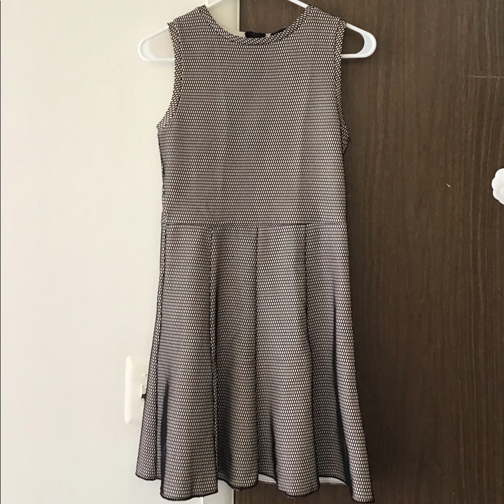 ZARA mesh pattern dress